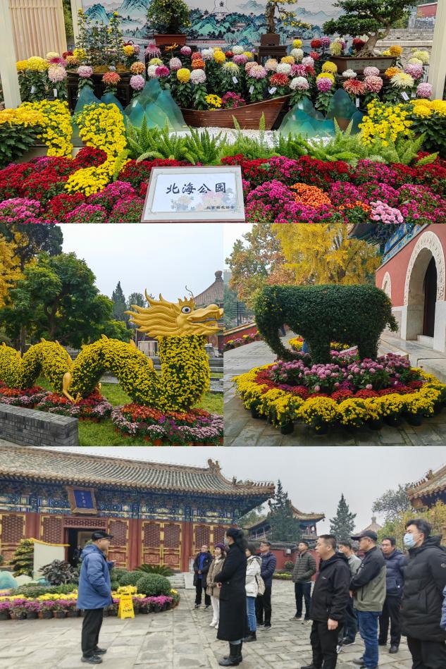 image1.jpeg image1.jpeg